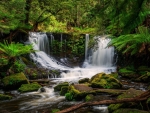 Horseshoe Falls, Tasmania