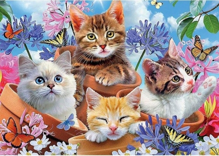 Selfie Kitten - dog, animal, nature, cat, fantasy