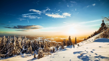 Winter Landscape - clouds, trees, hills, snow, sunrise, sky