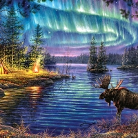 elk in the northernlights