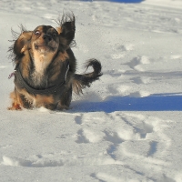 my sara loves snow...