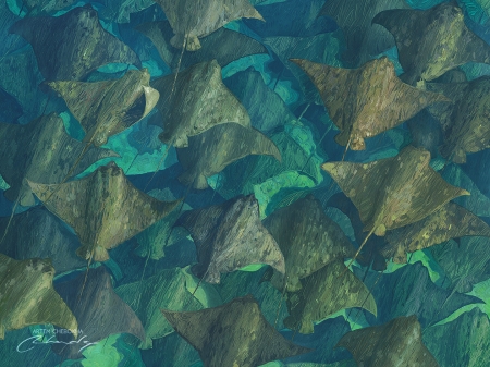 Stingrays - summer, stingray, fantasy, art, pisici de mare, water, artem chebokha, vara, view from the top