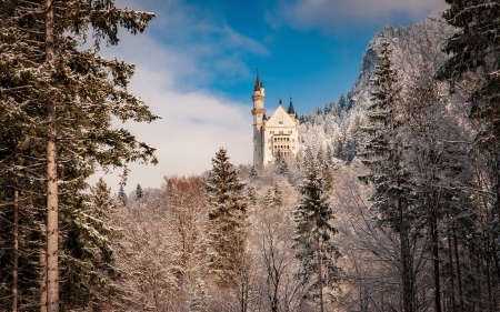 Neuschwanstein Castle