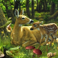 mother deer