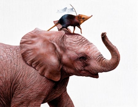 Pygme up - pictura, white, animal, elephant, painting, cute, art, jacub gagnon