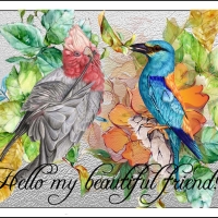 BEAUTIFUL FRIEND