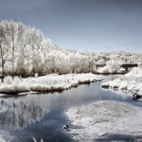 Winter Scene on the Nectar River, Germany