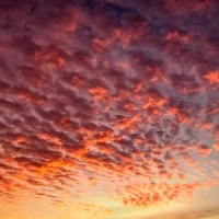 Clouds in the Morning