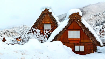 Winter houses - snow, mountain, winter, frost, cold, beautiful, houses