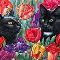 Cats and tulips