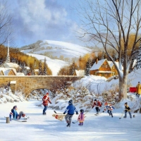 ice skating at the country