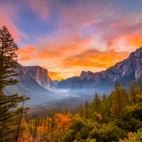 Yosemite National Park