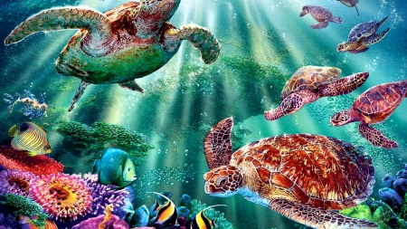 Marine Sea Turtles - Lagoon, Reptiles, Tranquility, Tropical