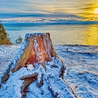 snow on the ocean shore