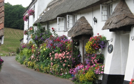 cottage surrounded with flowers - flowers, cottage, house, england