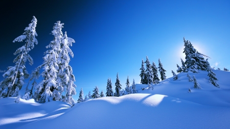 Winter landscape - beautiful, blue, mountain, sky, slope, snow, trees, winter
