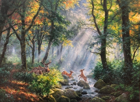 playing in the sun - deers, animals, sun, woods