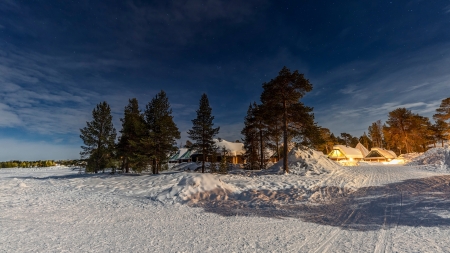 Winter Village - lights, snow, night, pine, trees, houses