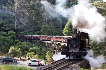 Puffing Billy  Steam Locomotive 8A