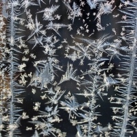 Frost Flowers