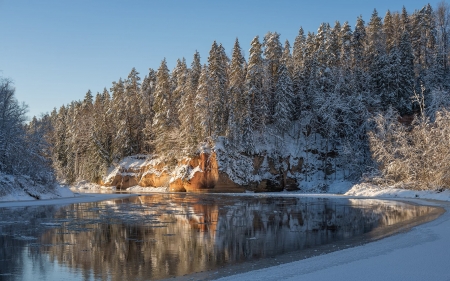 Winter River - river, Latvia, winter, spruces