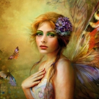 butterfly fairy