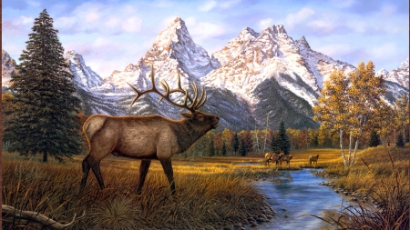 prince of the tetons - tetons, deers, mountains, animals