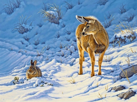 friends - rabbit, friends, winter, deer