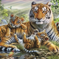 Tigers