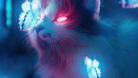 :) - pink, neon, fantasy, butterfly, bladerunner, cat, luminos, blue, art, pisici