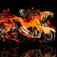Moto Ducati Diavel Tiger