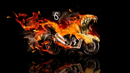 Moto Ducati Diavel Tiger - diavel, motorcycle, moto, tony kokhan, orange, tiger, ducati, black, fantasy, fire, pisici, tigru, art, big cat