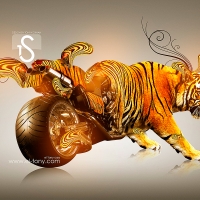 Moto Tiger