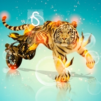 Moto Ducati Streetfighter Tiger