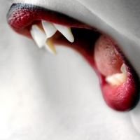 Vampire's Bite