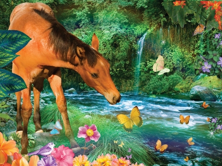 Little Brown Horse - flowers, bird, river, butterflies, digital, art