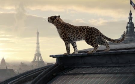 :) - tour eiffel, cartier, leopard, commercial, animal, paris, roof, france, add, big cat