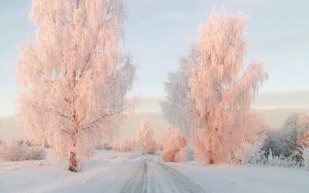 Winter Fairytale