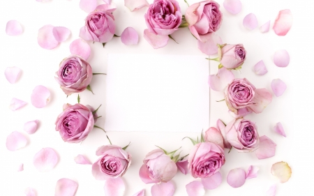 :) - rose, pink, white, flower, trandafir, card, wreath