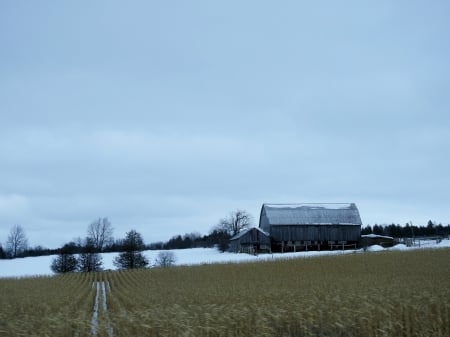 Winter Farm - Snow, Winter, Photography, Farm, Sky