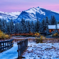 Pigeon Mountain And Log Cabin In Forest, Canmore, Alberta