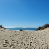 Pathway to the Beach