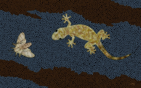 Gecko and the Moth