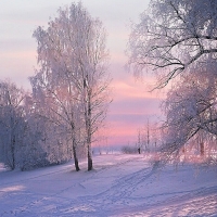 winter scene