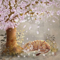Nap