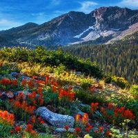 Wasatch Mountains of Utah