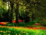 Spring at the island of Mainau, Lake Bodensee, Germany