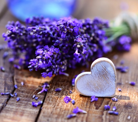 Lavender Love