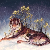 Year of the Tiger