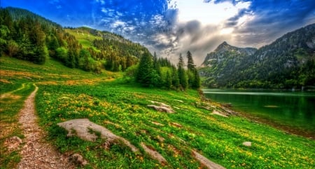 Flowering mountain meadow - Mountains & Nature Background Wallpapers on ...